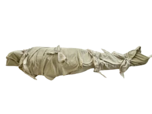 yarrowshroud-transparent