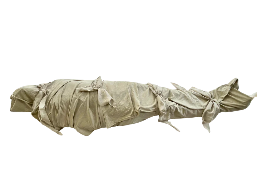 yarrowshroud-transparent