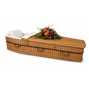 Six-Point Adult Willow Coffin image1