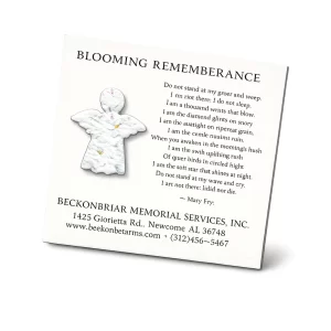 Small Cards (Set of 100)