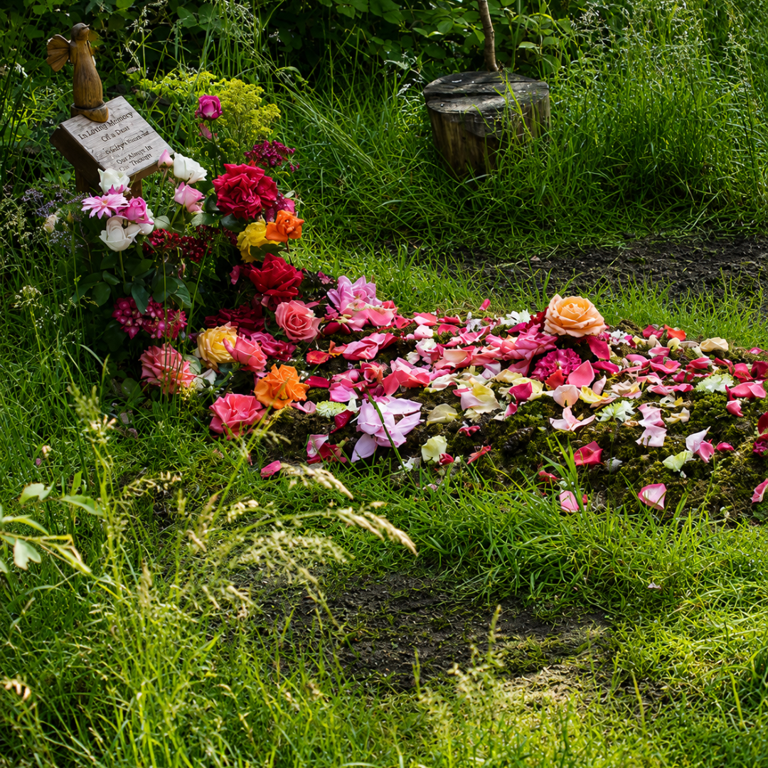 Natural burial flowers in garden