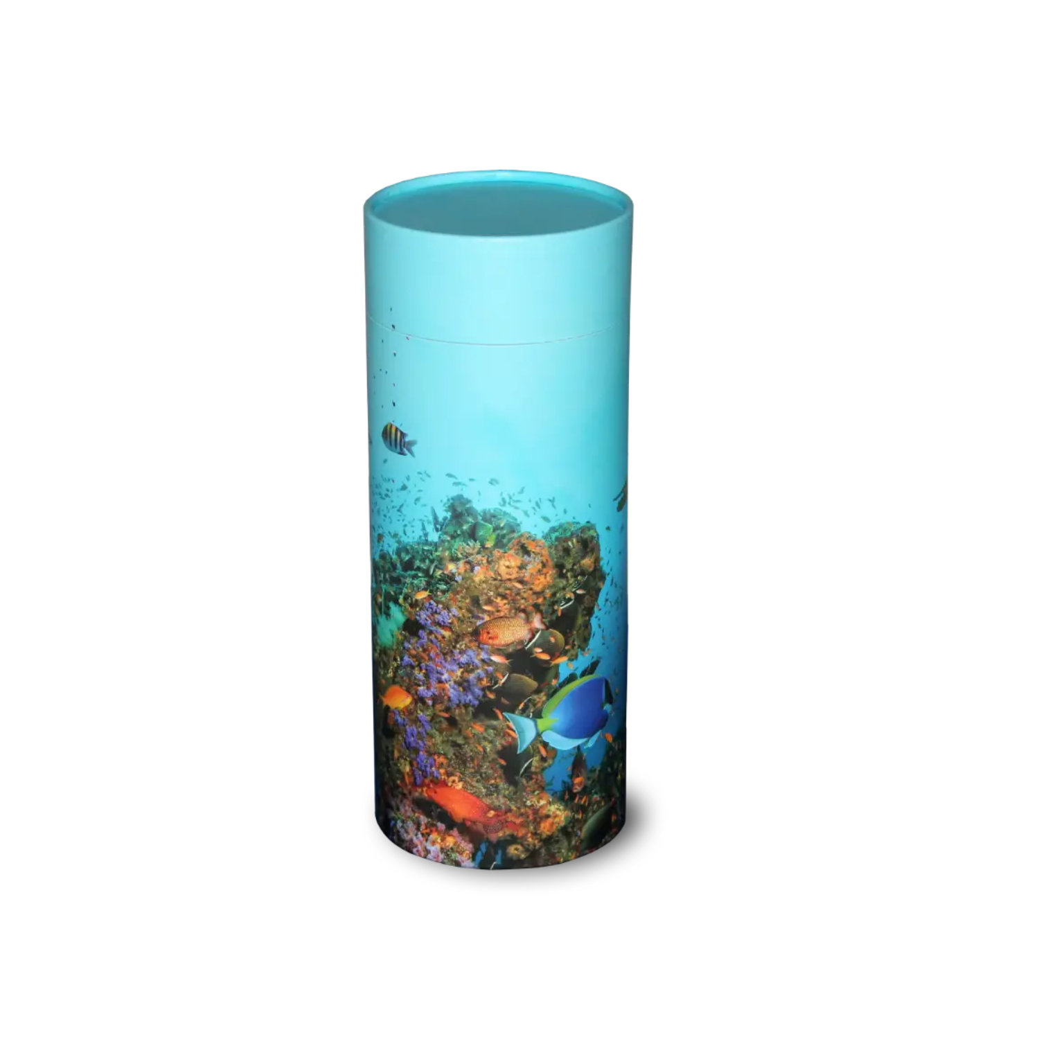 Coral Reef Scattering Tube