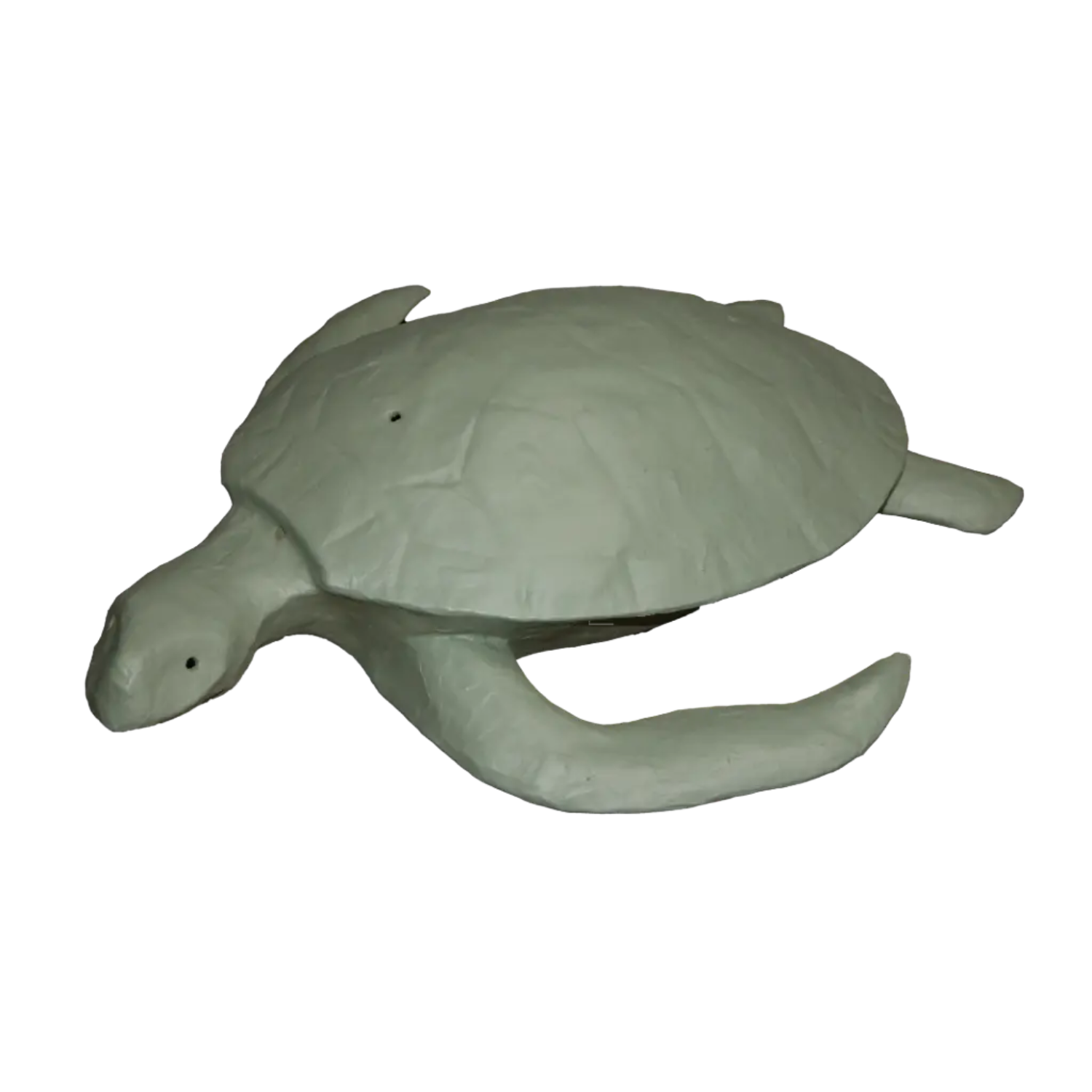 Moss Sea Turtle Urn